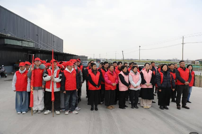 <strong>种出“开春红”，绘就“幸福绿”——兴化市合陈镇开展义务植树节活动</strong>