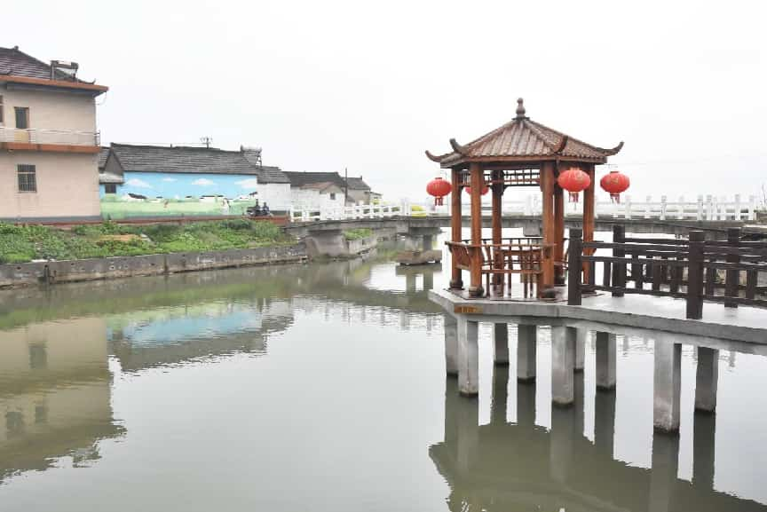 <strong>戴南镇姜太村：麦苗青青菜花黄 岸绿水清春色美</strong>