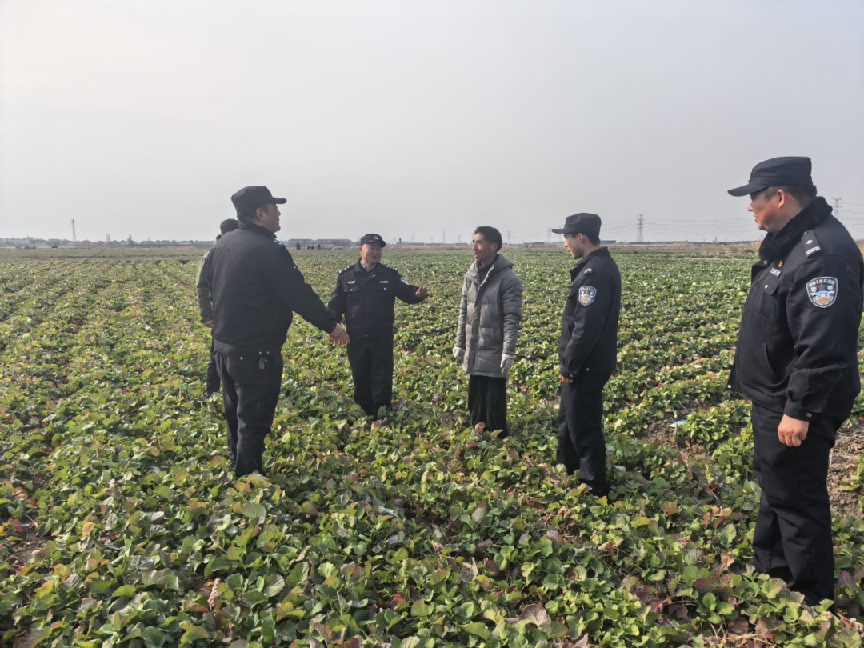 <strong>“三老带新”传帮带  基层矛盾就地解</strong>